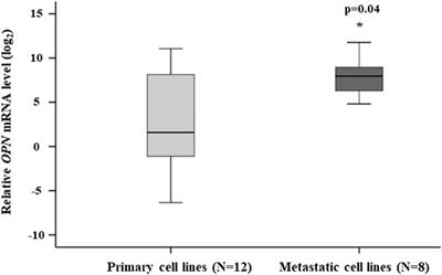 Silencing Osteopontin Expression Inhibits Proliferation, Invasion and Induce Altered Protein Expression in Melanoma Cells